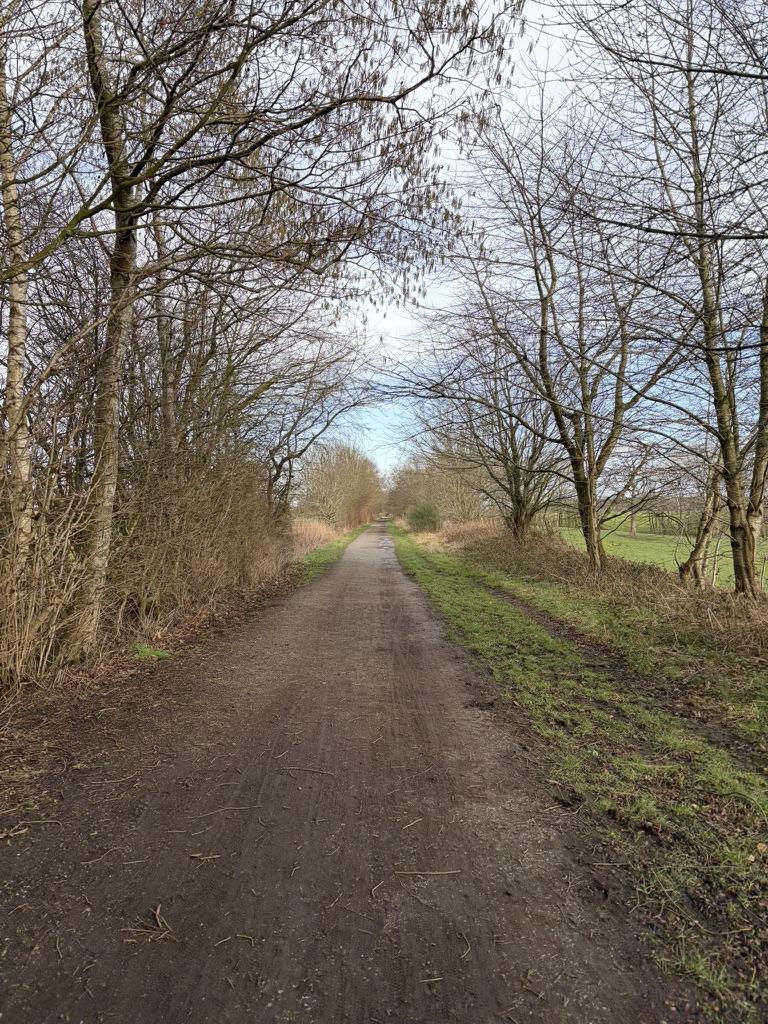 The trail near home